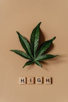 Casino imagen